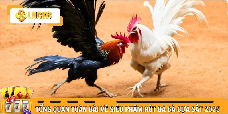 Tổng quan toàn bài về siêu phẩm hót đá gà cựa sắt 2025